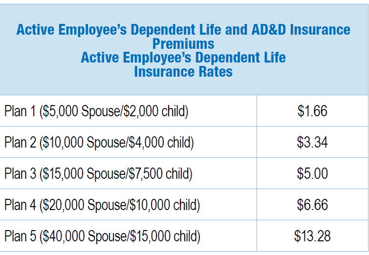 Life Insurance Human Resource Services