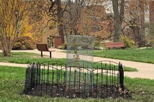 NRE faculty Rick Gage leads effort to bring “Moon Tree” to campus